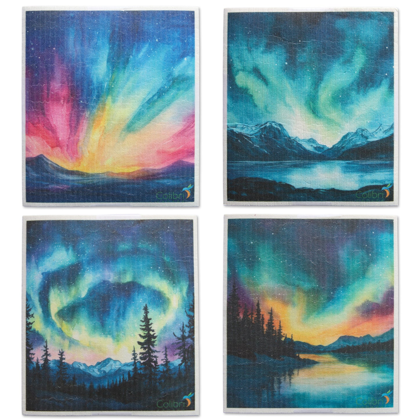 Sponge Cloth - In the North