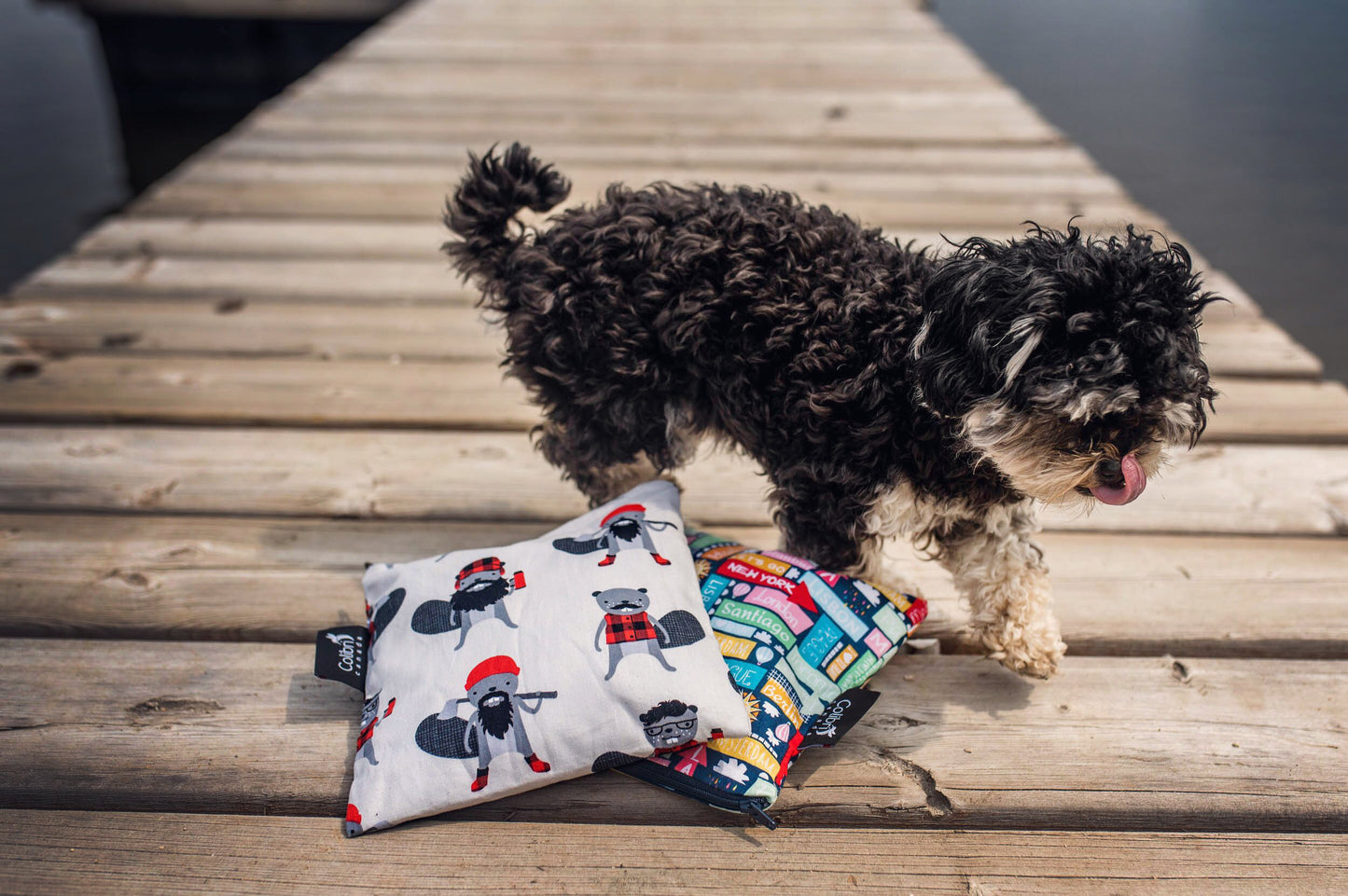 Beavers Reusable Snack Bag - Large