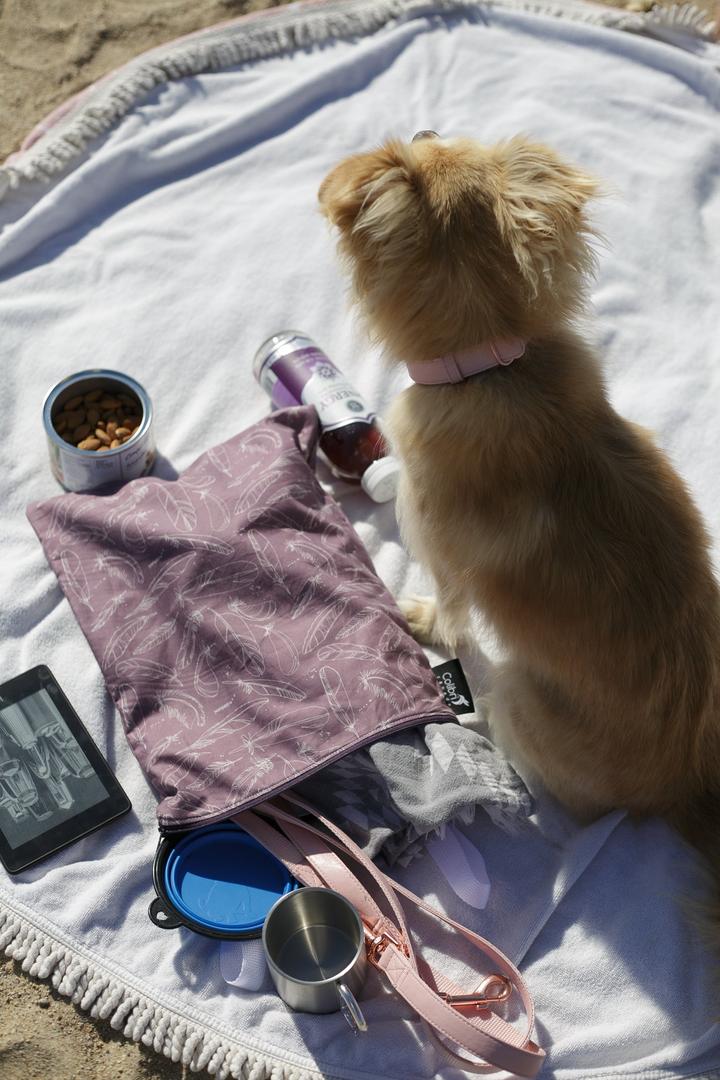 Feather Regular Wet Bag